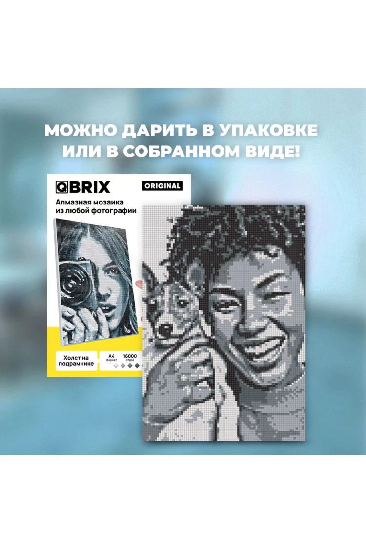 QBRIX Алмазная фото-мозаика на подрамнике ORIGINAL А4