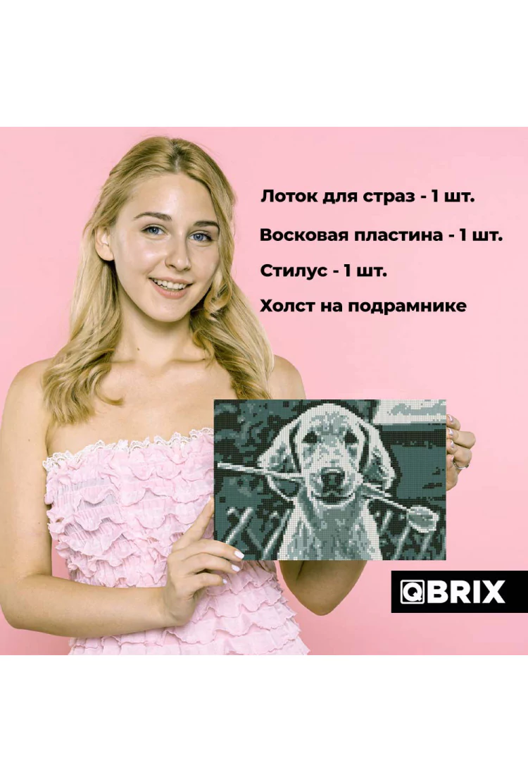 QBRIX Алмазная фото-мозаика на подрамнике ORIGINAL А4