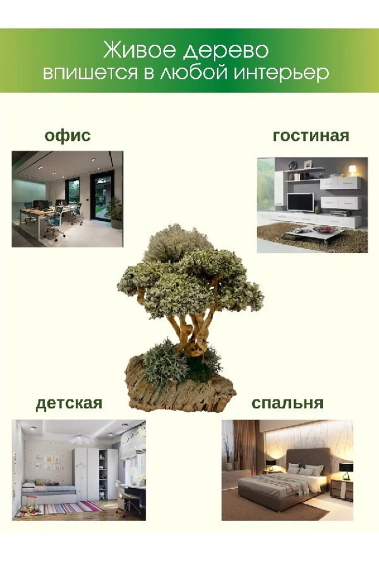 Дерево ручной работы с кронами цетрарии 30 см