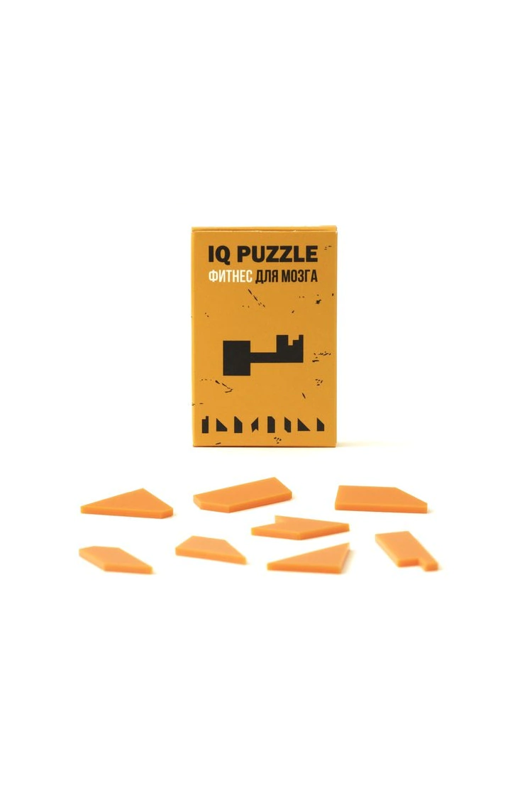 IQ PUZZLE Ключик (8 деталей)