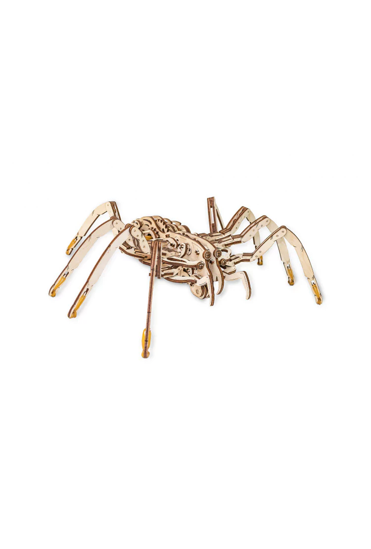 Конструктор EWA - Паук (Spider)