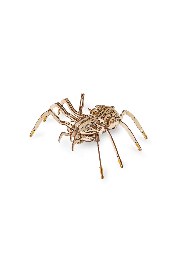 Конструктор EWA - Паук (Spider)