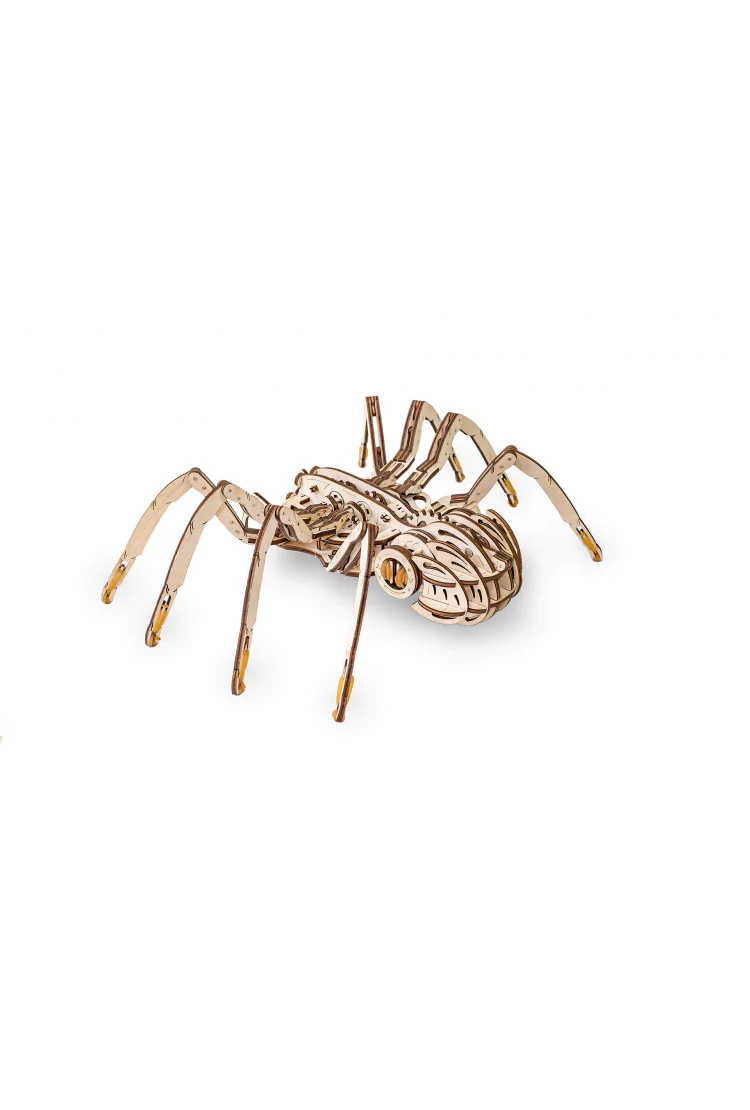 Конструктор EWA - Паук (Spider)